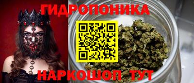 прущие грибы Краснокаменск