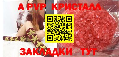прущие грибы Краснокаменск