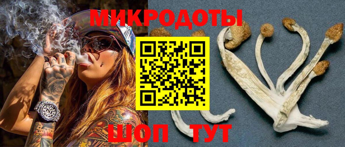Псилоцибиновые грибы Cubensis  Вход с VPN  Хабаровск 